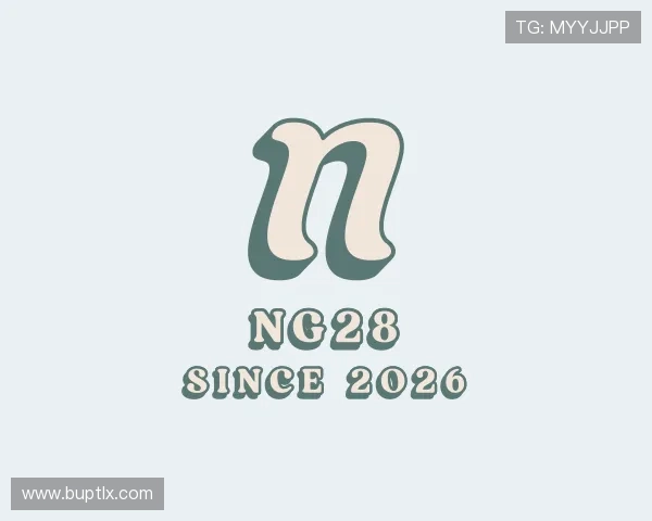 认识NG28